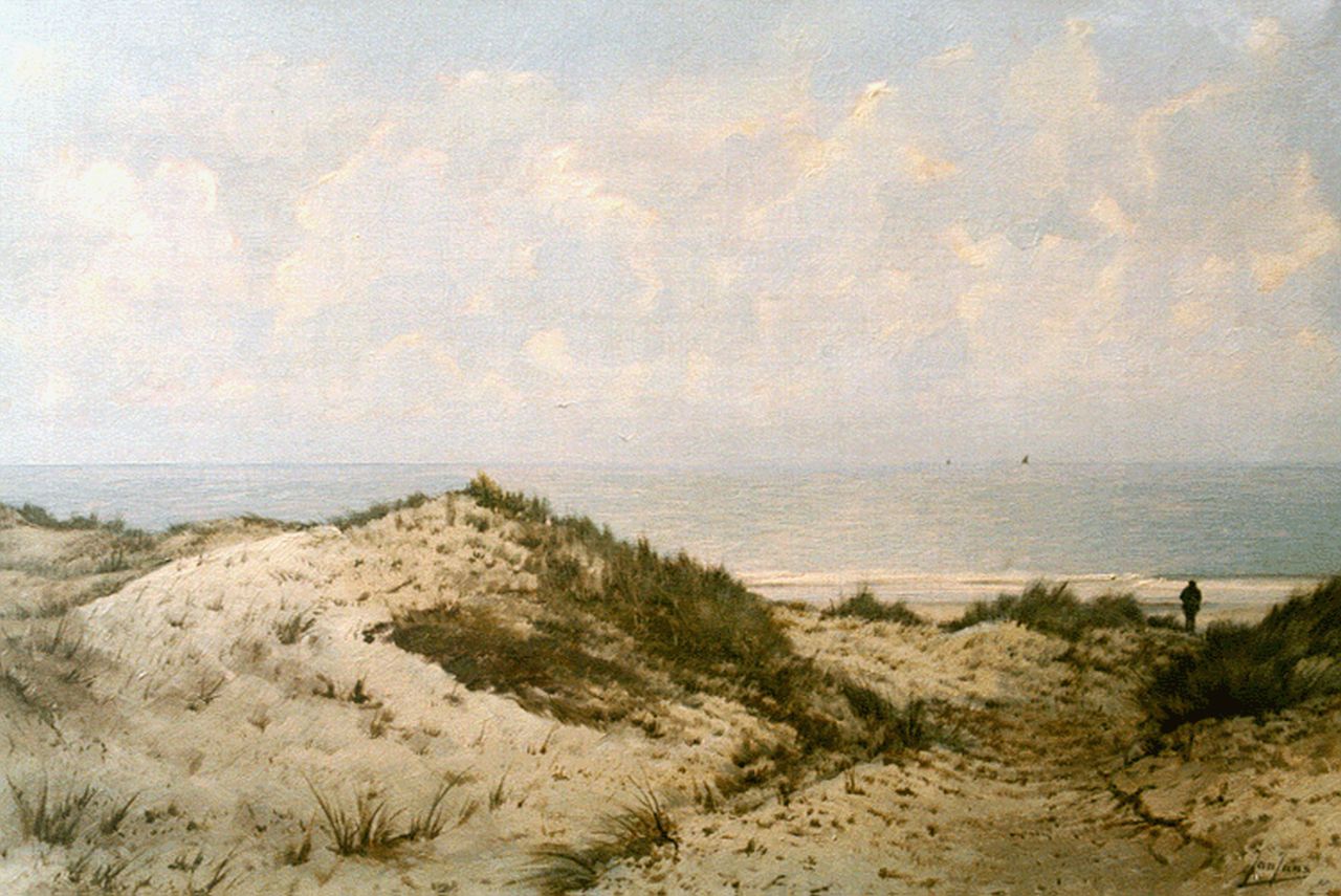 Jans J.  | Jan Jans, Dune landscape, Koudekerke, Öl auf Leinwand 40,0 x 59,7 cm, signed l.r.