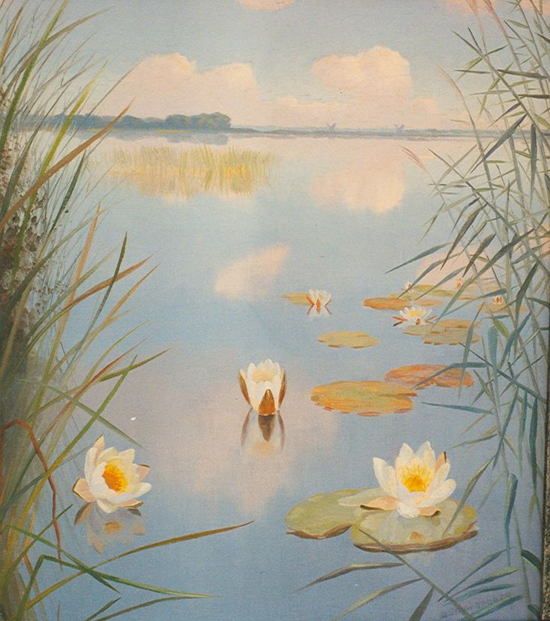 Smorenberg D.  | Dirk Smorenberg, Waterlilies, Öl auf Leinwand 50,0 x 45,0 cm, signed l.r.