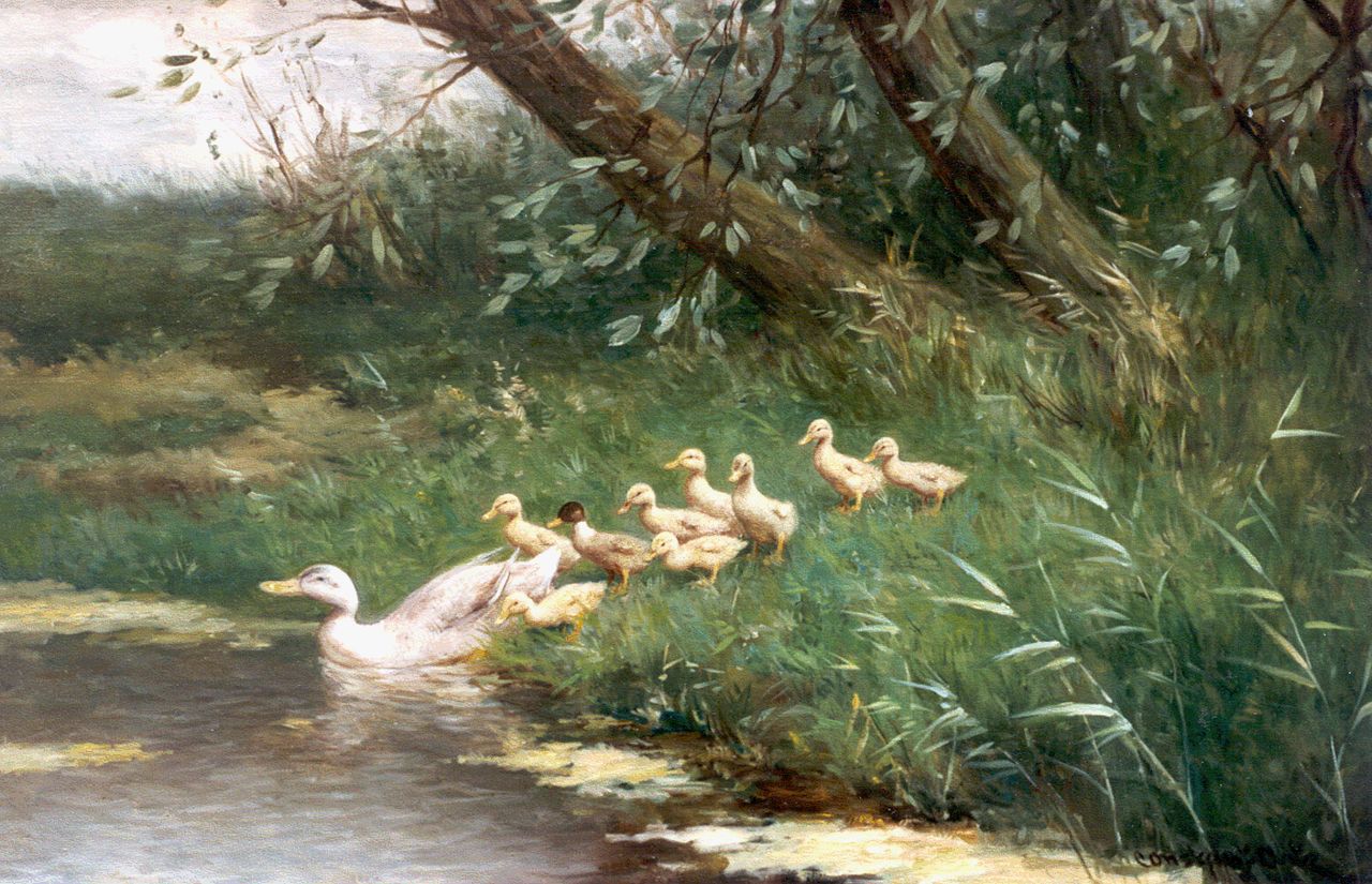 Artz C.D.L.  | 'Constant' David Ludovic Artz, A duck with ducklings watering, Öl auf Leinwand 39,7 x 60,0 cm, signed l.r.
