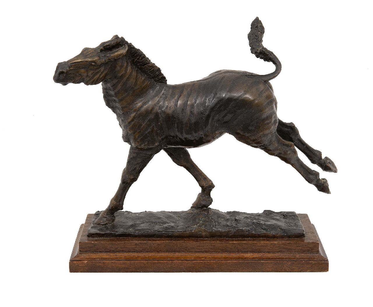 Toms N.  | Nicola Toms | Skulpturen und Objekte zum Verkauf angeboten | Zebra, Bronze 21,0 x 22,0 cm, Unterzeichnet in der Basis