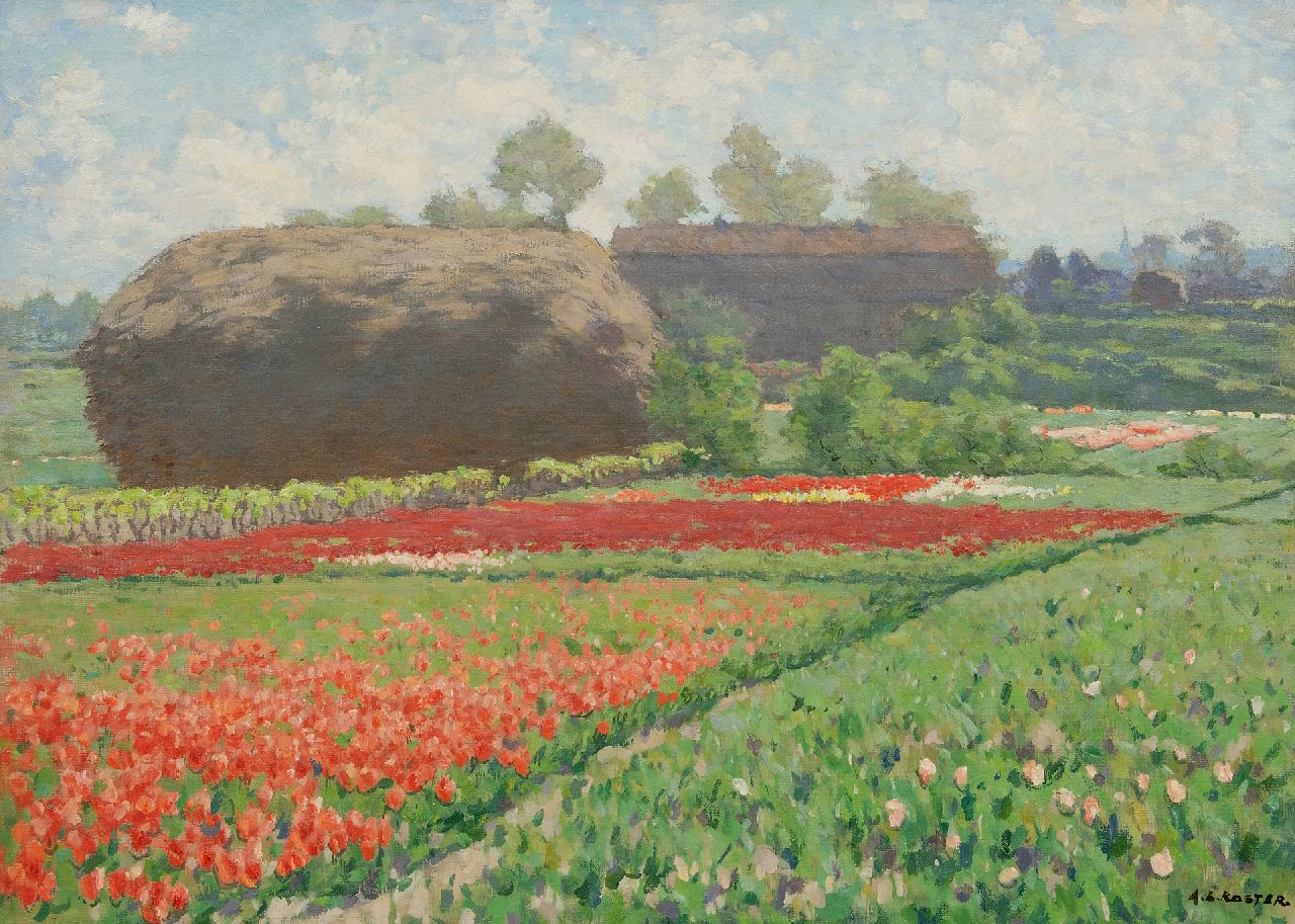 Koster A.L.  | Anton Louis 'Anton L.' Koster, Spätbluhende Tulpen bei Bennebroek, Öl auf Leinwand 50,6 x 70,5 cm, Unterzeichnet u.r.