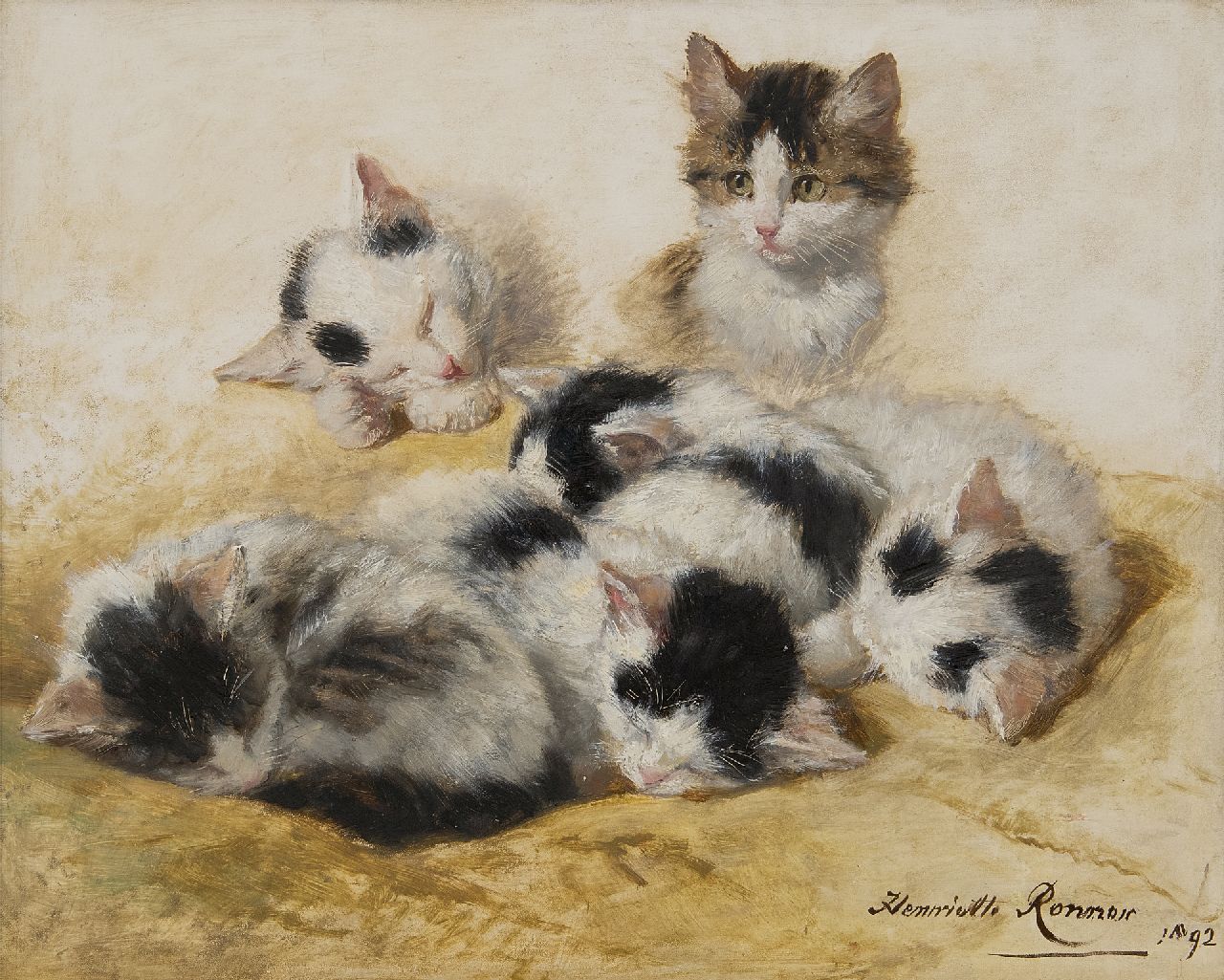 Ronner-Knip H.  | Henriette Ronner-Knip, Junge Kätzchen, Öl auf Holz 32,2 x 40,3 cm, Unterzeichnet u.r. und datiert 1892