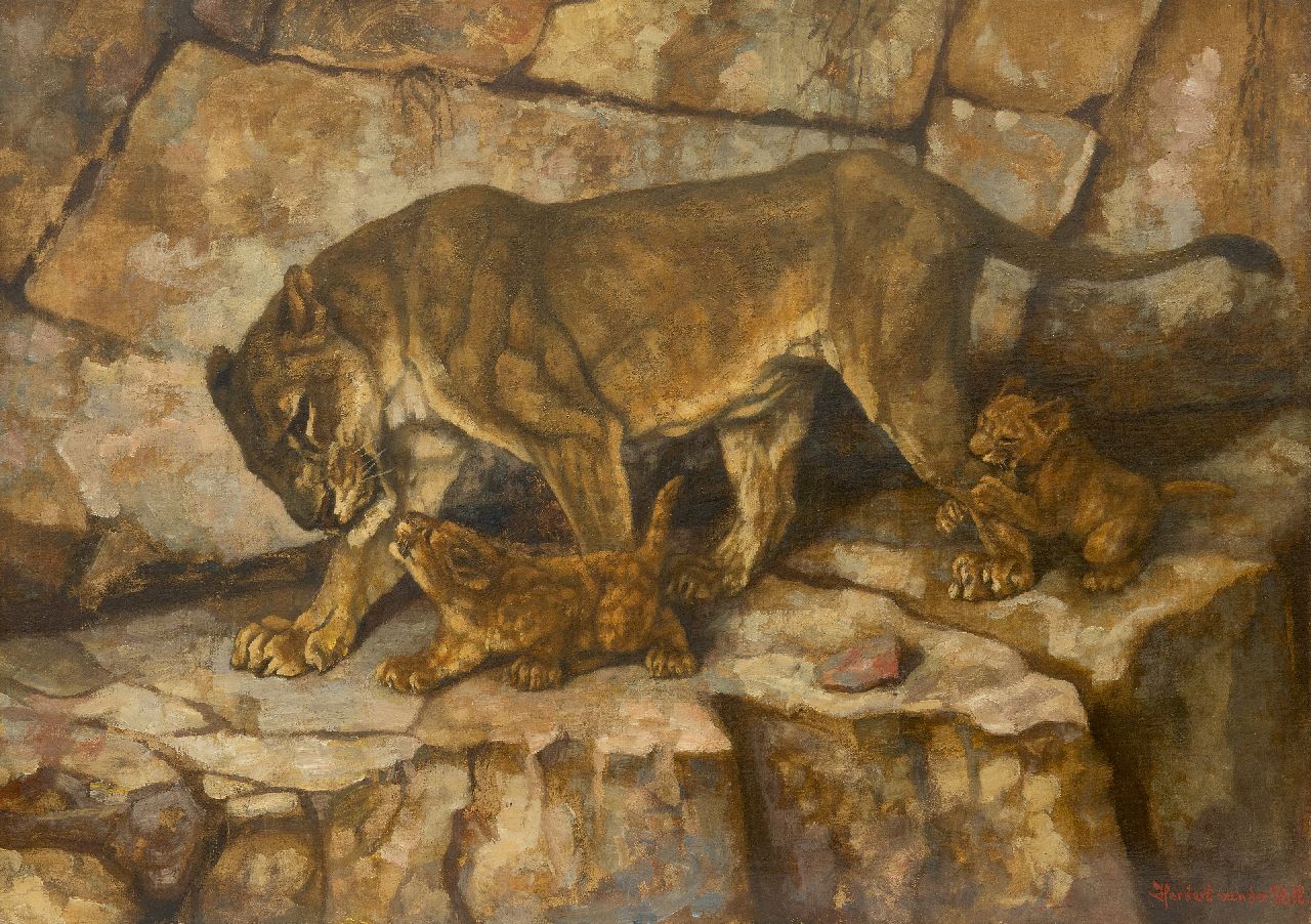 Herbert van der Poll | Löwin mit ihren Jungen, Öl auf Leinwand, 49,5 x 69,8 cm, Unterzeichnet u.r.