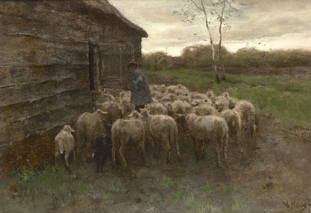 Mauve A.  | Anthonij 'Anton' Mauve, Das Füttern der Schafe, Öl auf Leinwand 55,5 x 80,7 cm, Unterzeichnet r.u.