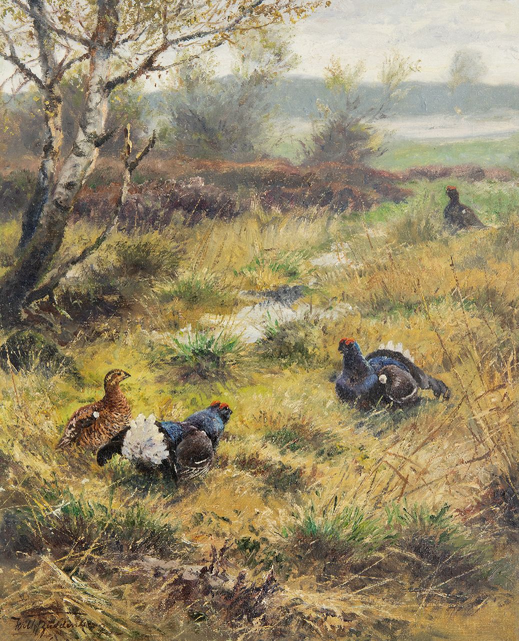 Wilhelm Buddenberg | Auerhähne auf der Heide, Öl auf Leinwand, 50,1 x 40,0 cm, Unterzeichnet u.l.