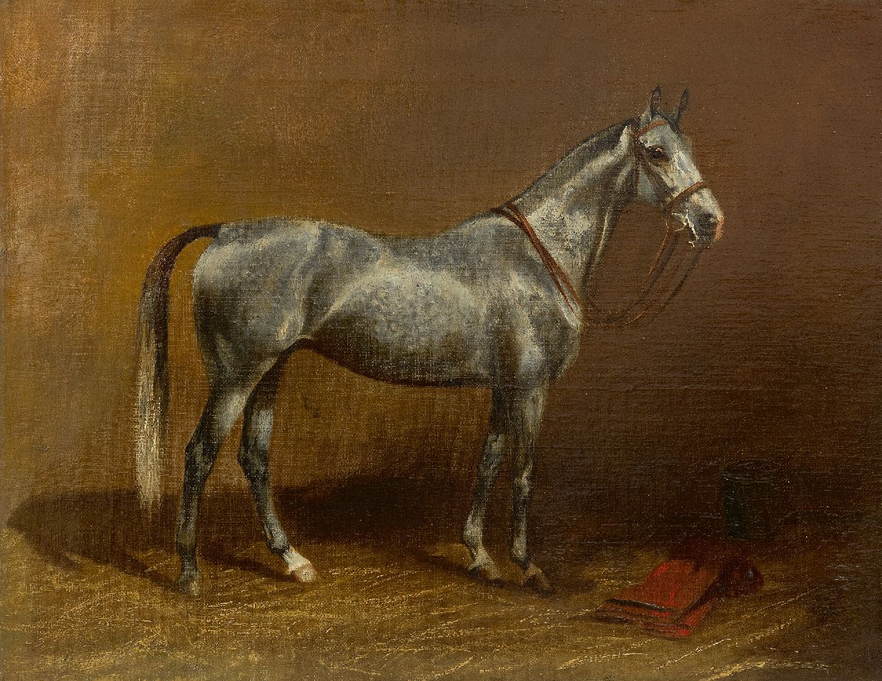 Westerop W.  | Wilhelm Westerop | Gemälde zum Verkauf angeboten | Porträt eines grauen Pferdes, Öl auf Leinwand 35,0 x 45,0 cm, Unterzeichnet u.l. und datiert 1929