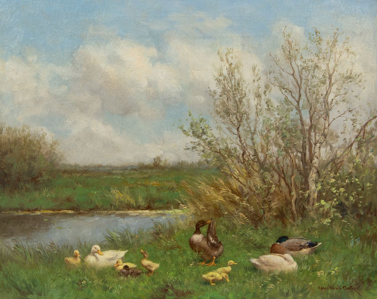 Artz C.D.L.  | 'Constant' David Ludovic Artz | Gemälde zum Verkauf angeboten | Enten am Wasser entlang, Öl auf Leinwand 40,5 x 50,4 cm, Unterzeichnet u.r.