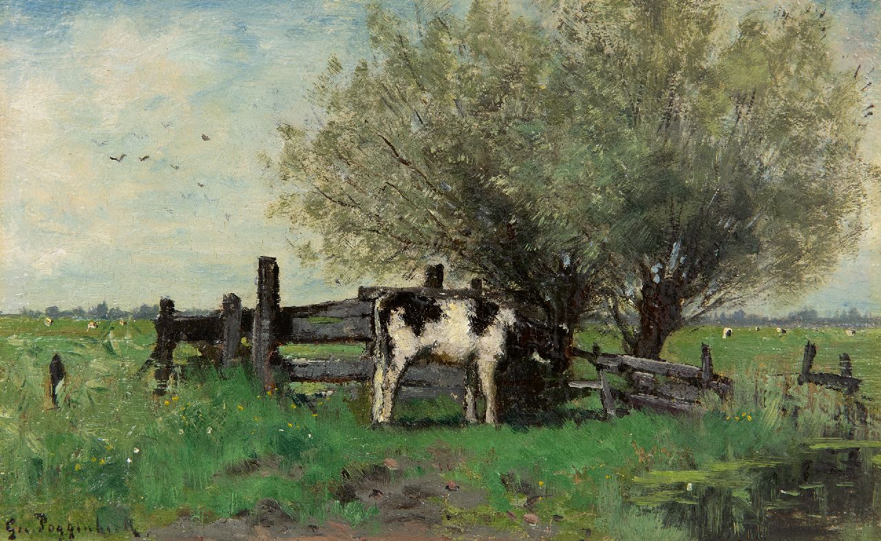 Poggenbeek G.J.H.  | George Jan Hendrik 'Geo' Poggenbeek | Gemälde zum Verkauf angeboten | Junge Kuh an einem Zaun auf der Wiese, Öl auf Holz 14,0 x 22,6 cm, Unterzeichnet u.l.
