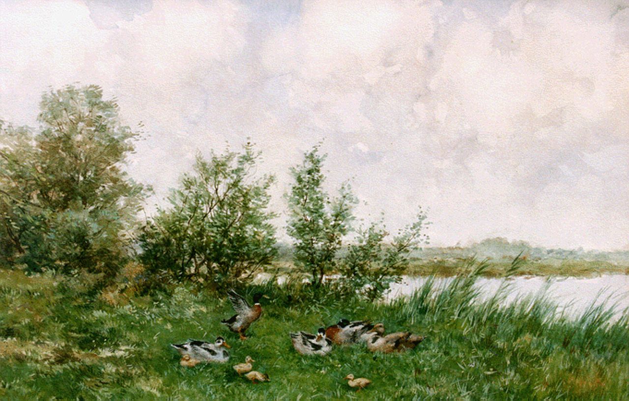 Artz C.D.L.  | 'Constant' David Ludovic Artz, Ducks on the riverbank, Aquarell auf Papier 36,0 x 52,0 cm, signed l.r.