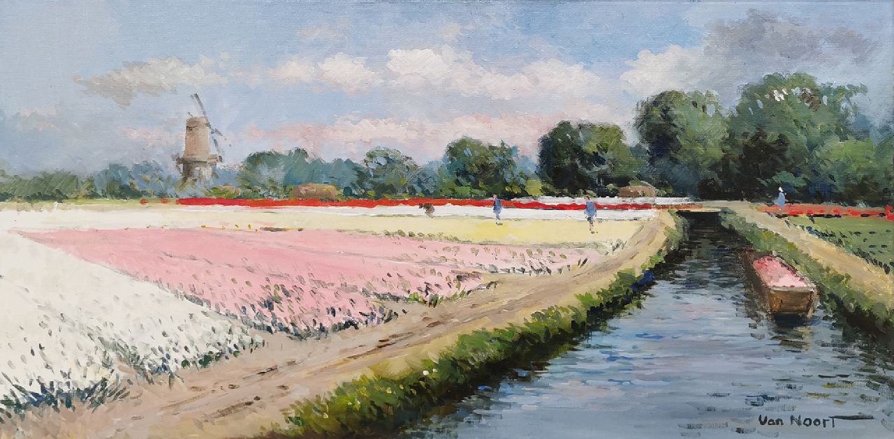 Noort A.C. van | Adrianus Cornelis van Noort, Der Keukenhof, Lisse, Öl auf Leinwand 40,2 x 80,1 cm, Unterzeichnet u.r.