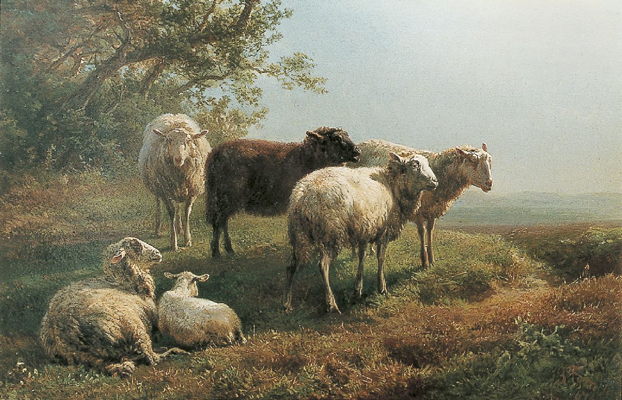 Tom J.B.  | Jan Bedijs Tom, Sheep in a landscape, Öl auf Holz 22,0 x 32,2 cm, signed l.r. und dated '67