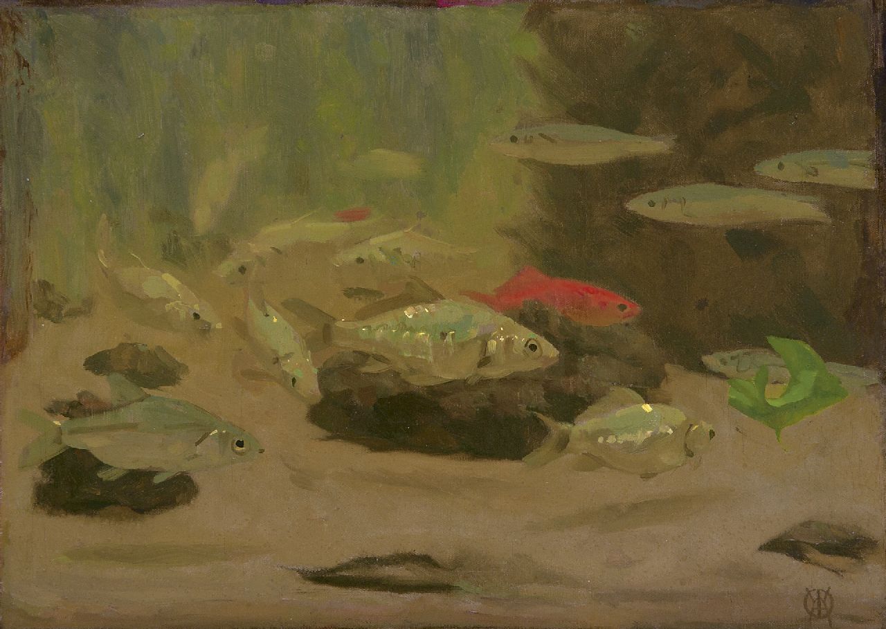 Dijsselhof G.W.  | Gerrit Willem Dijsselhof, Fische im Aquarium von Artis, Öl auf Leinwand 28,7 x 39,9 cm, Unterzeichnet u.r. mit Monogramm