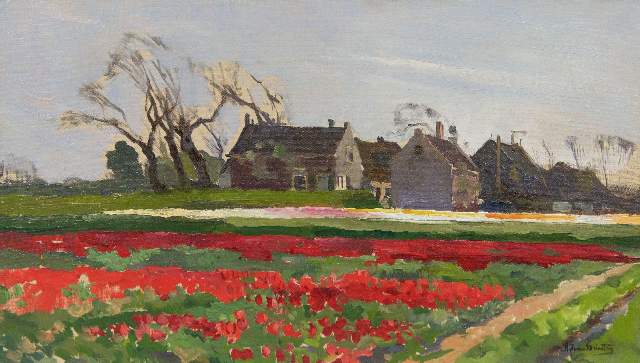 Driesten A.J. van | Arend Jan van Driesten | Gemälde zum Verkauf angeboten | Tulpenzwiebelfelder, Öl auf Malereifaser 28,5 x 49,7 cm, Unterzeichnet u.r.