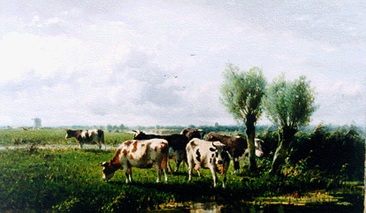 Westerbeek C.  | Cornelis Westerbeek, A polder landscape with cows grazing, Öl auf Leinwand 56,8 x 96,8 cm, signed l.l. und dated '96
