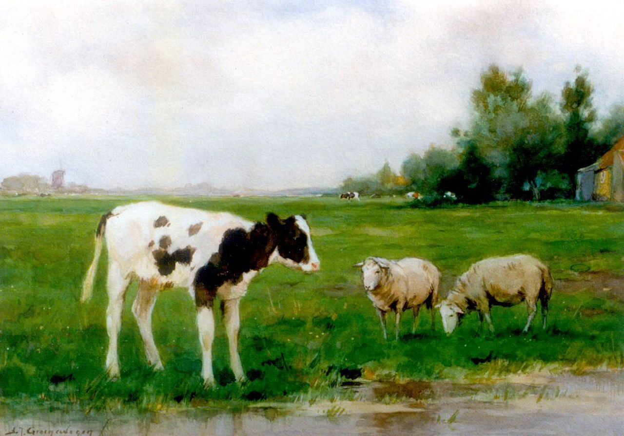 Groenewegen A.J.  | Adrianus Johannes Groenewegen, Sheep an a calf in a meadow, Aquarell auf Papier 25,3 x 35,2 cm, signed l.l.