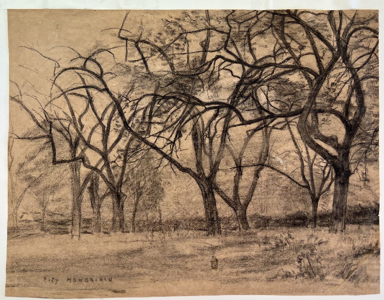 Mondriaan P.C.  | Pieter Cornelis 'Piet' Mondriaan | Aquarelle und Zeichnungen zum Verkauf angeboten | Baumgruppe, Schwarze Kreide auf Papier 33,4 x 44,0 cm, Unterzeichnet l.u. und 1902-1905