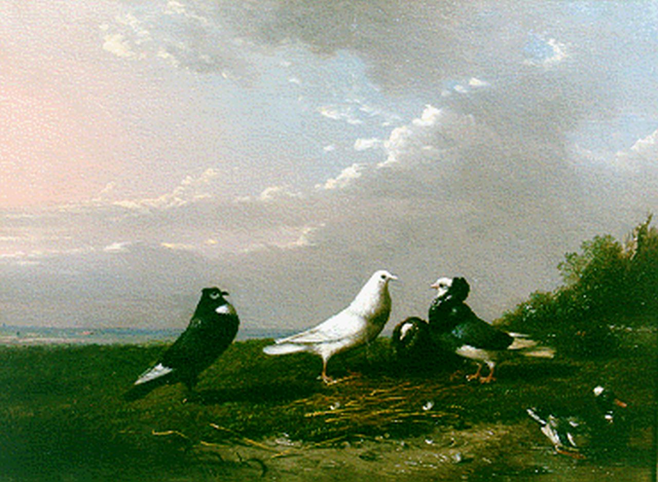 Severdonck F. van | Frans van Severdonck, A landscape with pigeons and a duck, Öl auf Holz 16,7 x 22,7 cm, signed l.l.