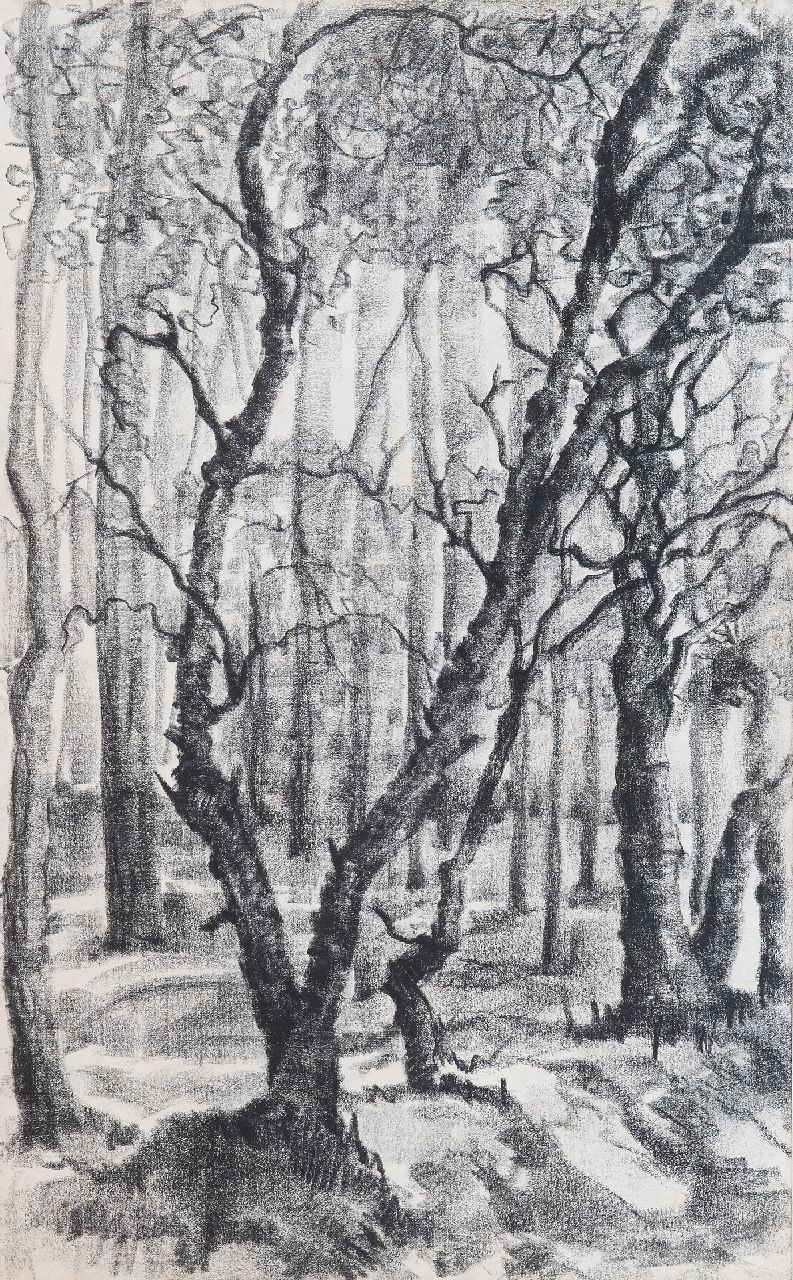 Hunziker F.  | Frieda Hunziker | Aquarelle und Zeichnungen zum Verkauf angeboten | Waldlandschaft, Schwarze Kreide auf Papier 43,0 x 27,0 cm