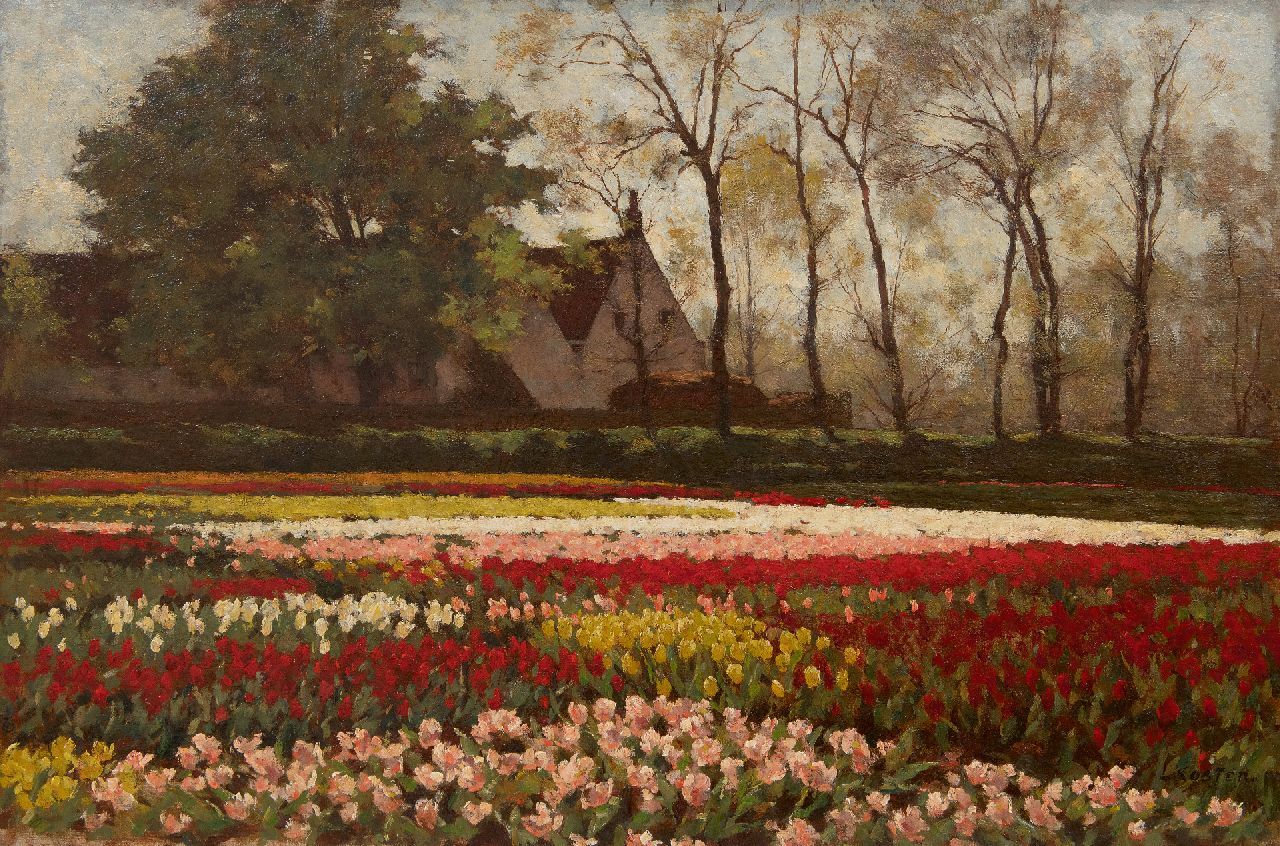 Koster A.L.  | Anton Louis 'Anton' Koster, Blühende Tulpenfelder, Öl auf Leinwand 53,5 x 81,9 cm, Unterzeichnet u.r.