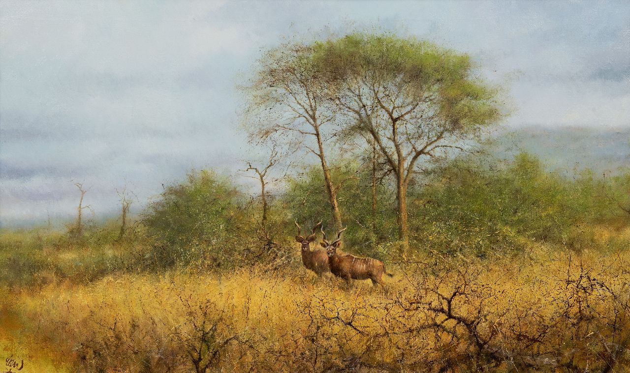 Poortvliet R.  | Rien Poortvliet, Kudus in der Nähe von Bäumen, Namibia, Öl auf Leinwand 60,0 x 100,2 cm, Unterzeichnet u.l.