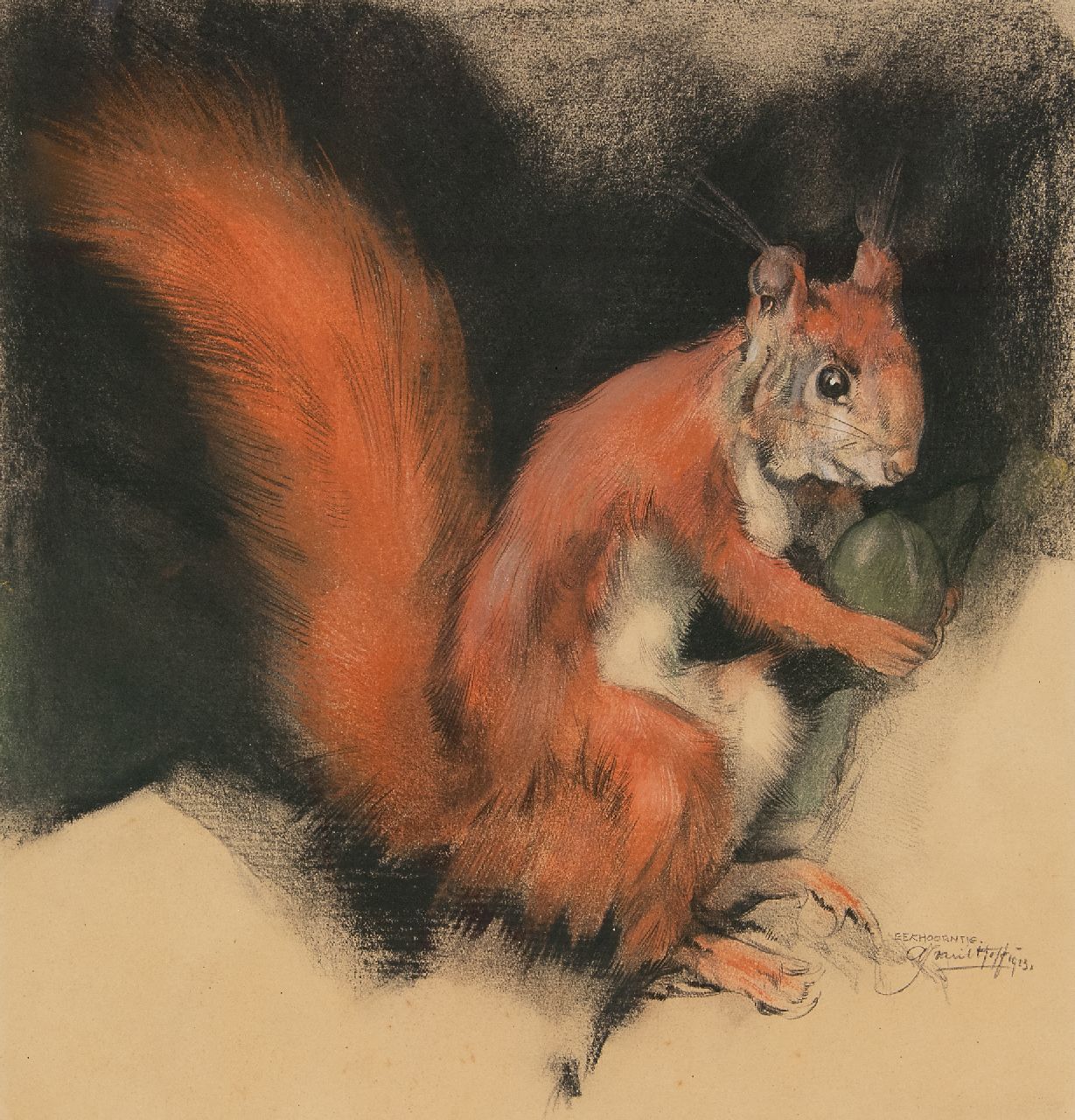 Hoff A.J. van 't | Adrianus Johannes 'Adriaan' van 't Hoff | Aquarelle und Zeichnungen zum Verkauf angeboten | Eichhörnchen, Holzkohle und Pastell auf Papier 28,2 x 27,2 cm, Unterzeichnet u.r. und datiert 1923