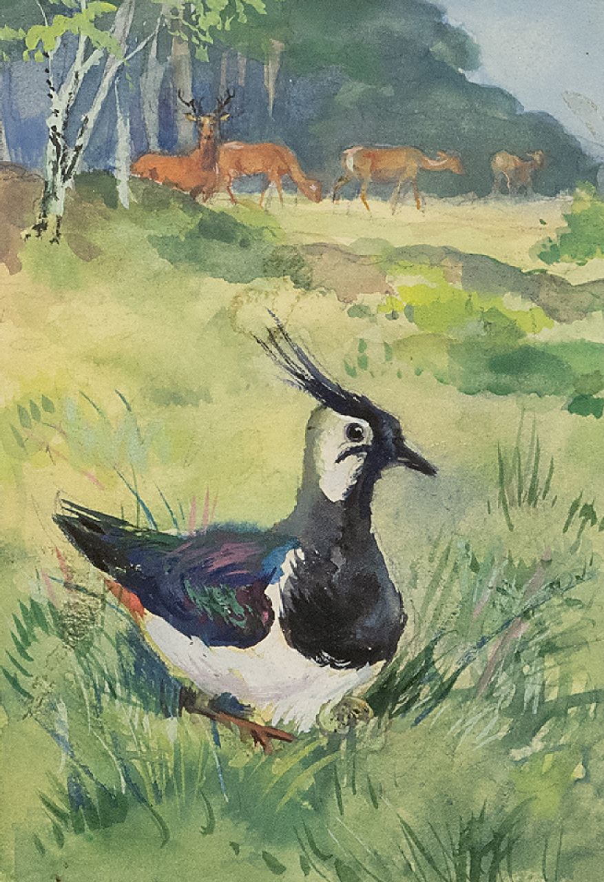 Poortvliet R. | Rien Poortvliet | Aquarelle und Zeichnungen zum Verkauf angeboten | Brütende Kiebitz auf dem Wildacker vom Hoge Veluwe, Gouache auf Papier 12,8 x 8,2 cm Poortvliet R. | Rien Poortvliet | Aquarelle und Zeichnungen zum Verkauf angeboten | Brütende Kiebitz auf dem Wildacker vom Hoge Veluwe, Gouache auf Papier 12,8 x 8,2 cm