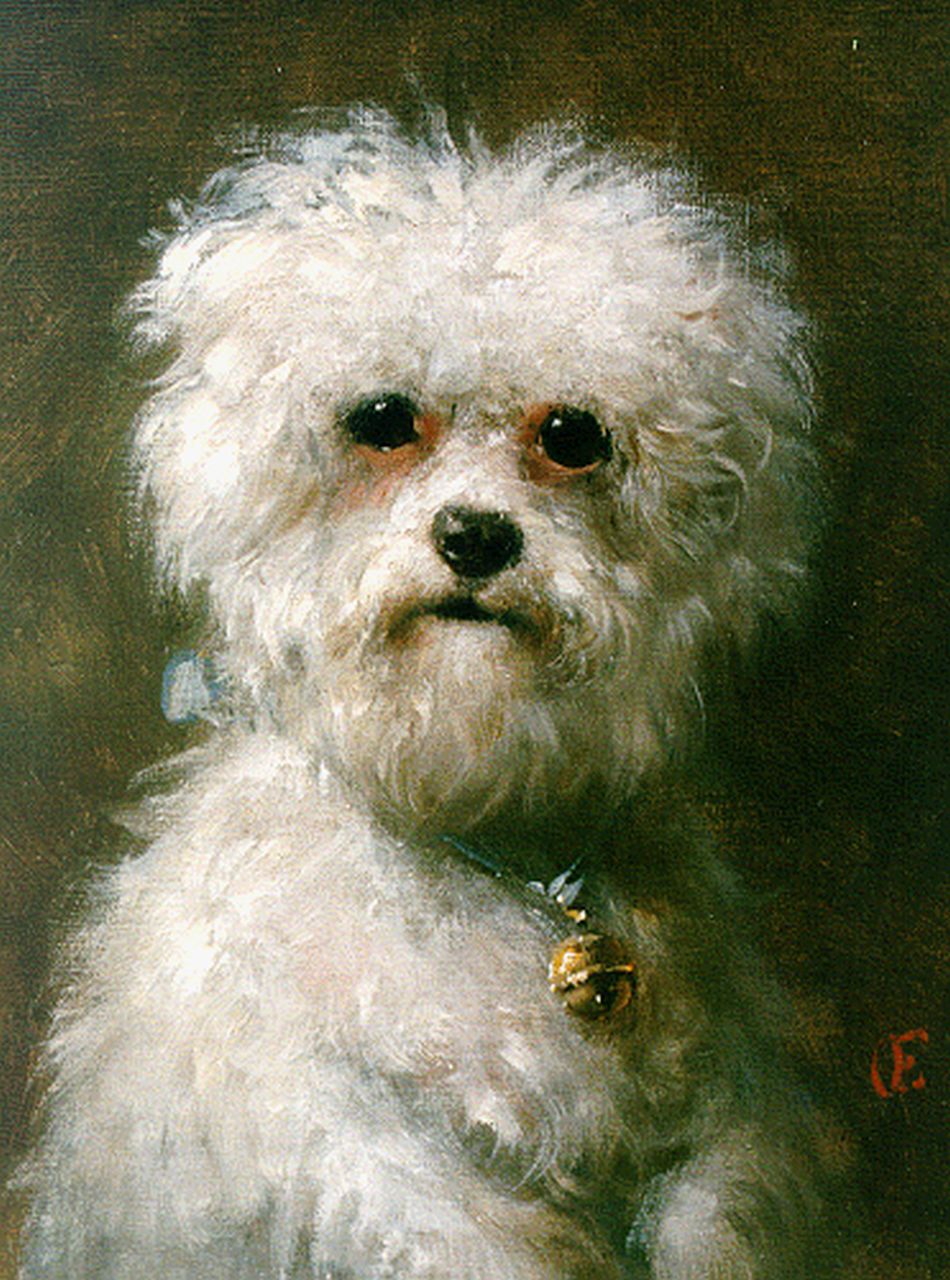 Eerelman O.  | Otto Eerelman, A white poodle, Öl auf Leinwand 33,0 x 25,3 cm, signed l.r.