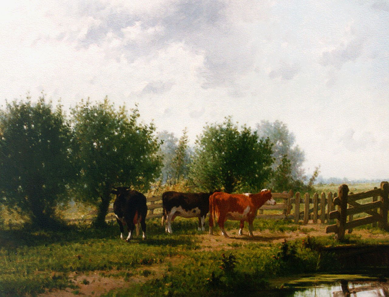 Westerbeek C.  | Cornelis Westerbeek, Cows by a fence, Öl auf Holz 66,4 x 88,2 cm, signed l.l. und dated '84