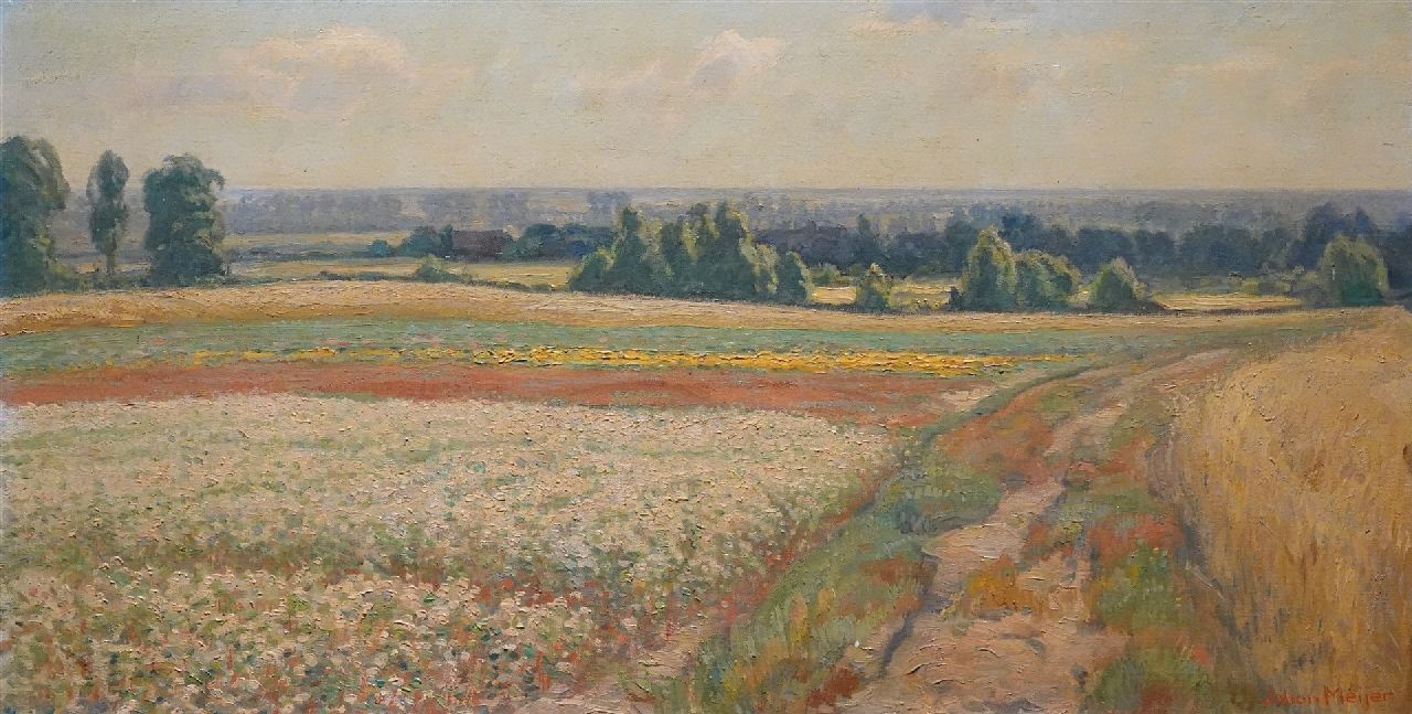 Meijer J. | Johannes 'Johan' Meijer | Gemälde zum Verkauf angeboten | Sommerlandschaft, Öl auf Leinwand 44,5 x 84,3 cm, Unterzeichnet u.r. Meijer J. | Johannes 'Johan' Meijer | Gemälde zum Verkauf angeboten | Sommerlandschaft, Öl auf Leinwand 44,5 x 84,3 cm, Unterzeichnet u.r.