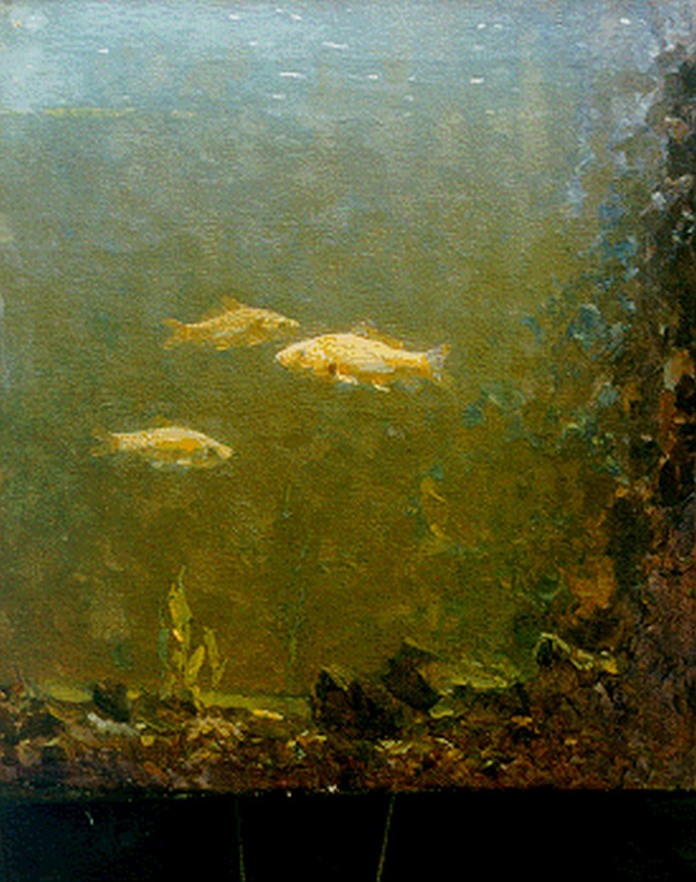 Dijsselhof G.W.  | Gerrit Willem Dijsselhof, Goldfish in an aquarium, Öl auf Leinwand 37,3 x 33,1 cm, signed l.r. with monogram
