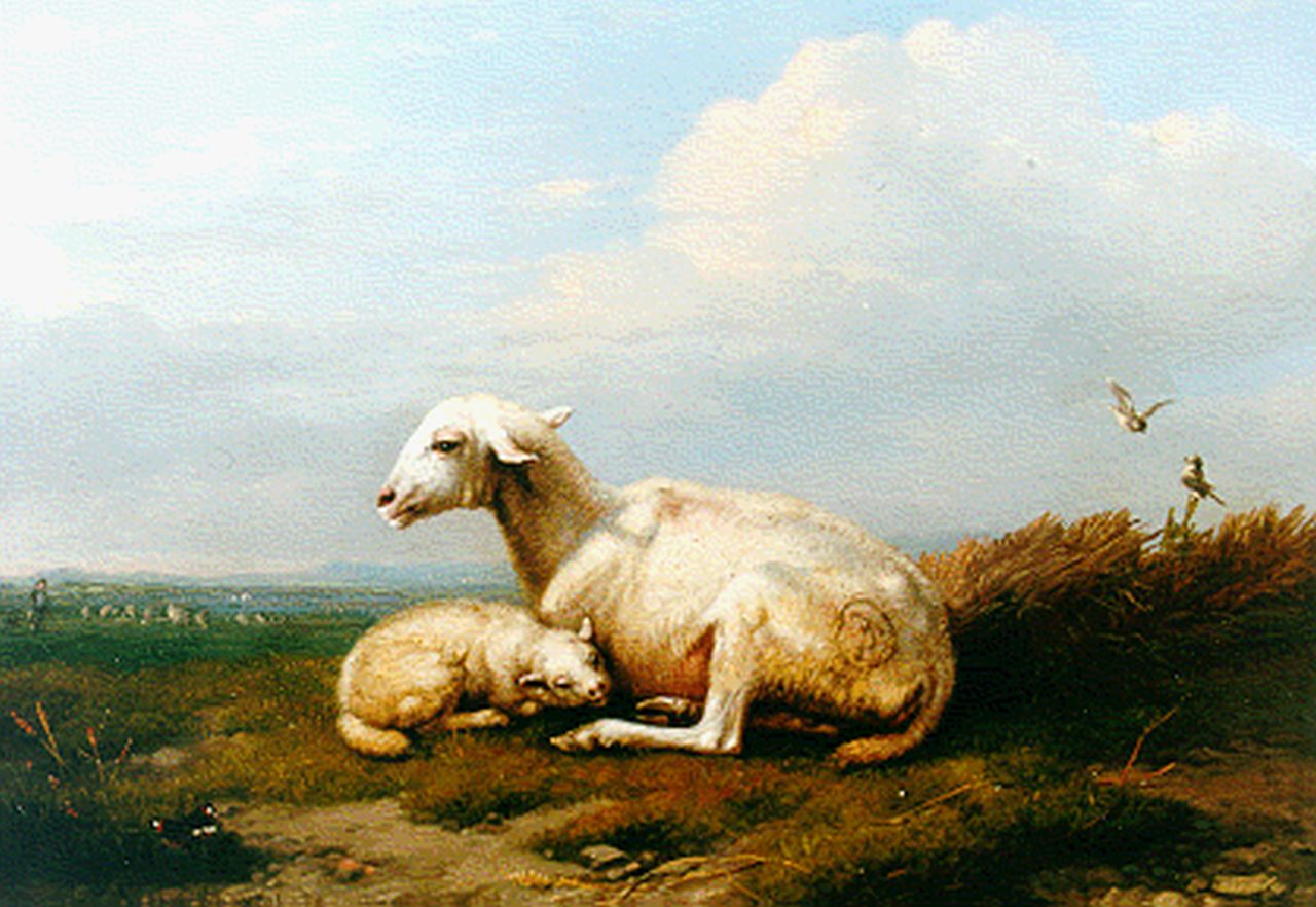Verboeckhoven E.J.  | Eugène Joseph Verboeckhoven, A sheep and lamb, Öl auf Holz 12,1 x 15,2 cm, signed l.l. und dated 1845