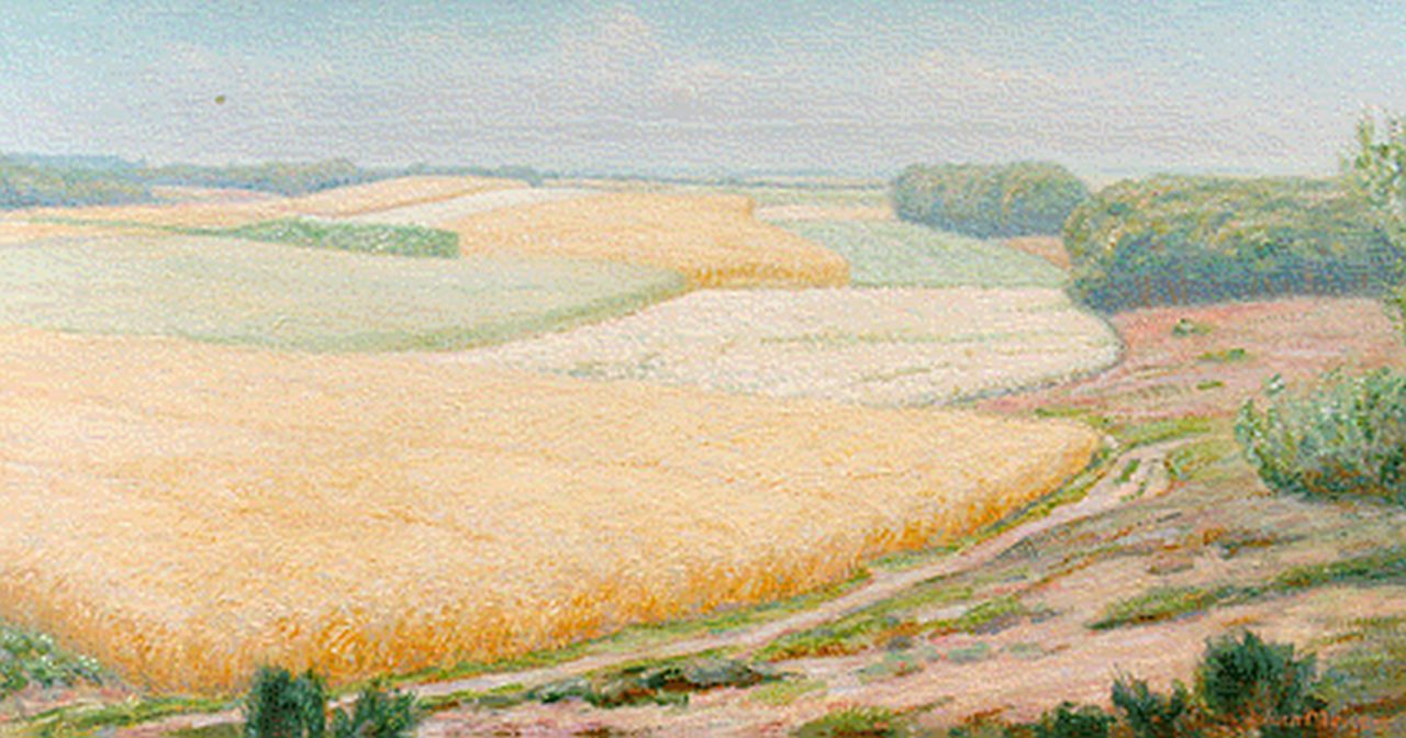 Meijer J.  | Johannes 'Johan' Meijer, A summer landscape, Öl auf Leinwand 45,0 x 84,4 cm, signed l.r.