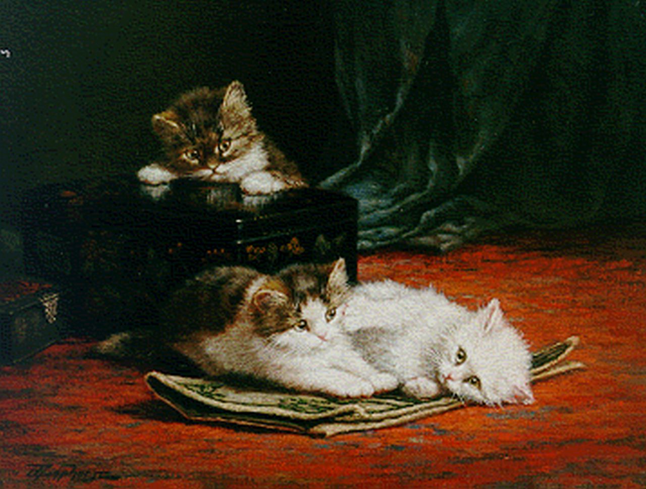 Raaphorst C.  | Cornelis Raaphorst, Kittens playing, Öl auf Leinwand 40,6 x 50,2 cm, signed l.l.