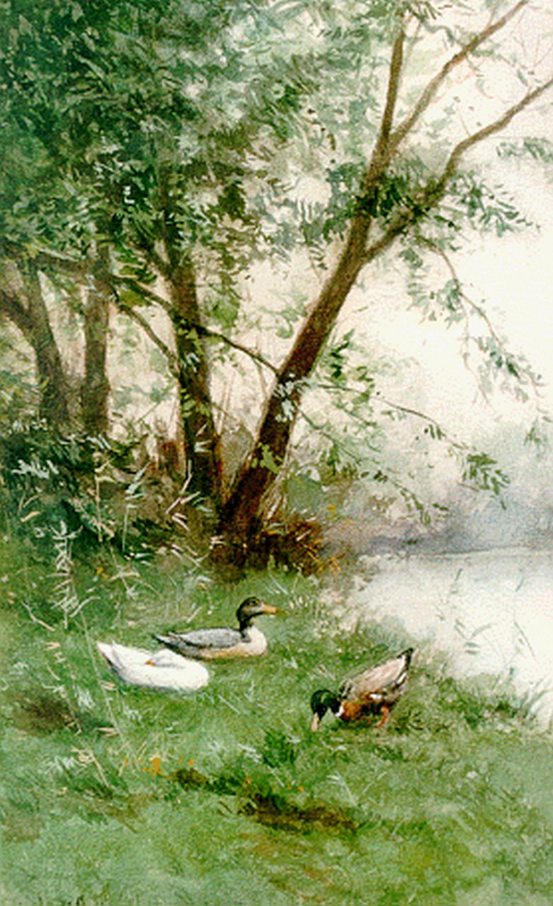 Artz C.D.L.  | 'Constant' David Ludovic Artz, Ducks on the riverbank, Aquarell auf Papier 37,8 x 25,0 cm, signed l.l.