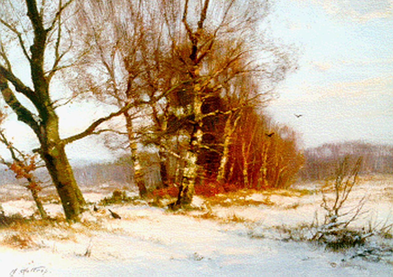 Holtrup J.  | Jan Holtrup, 'Imbos' in winter, Veluwe, Öl auf Leinwand 30,0 x 40,4 cm, signed l.l.