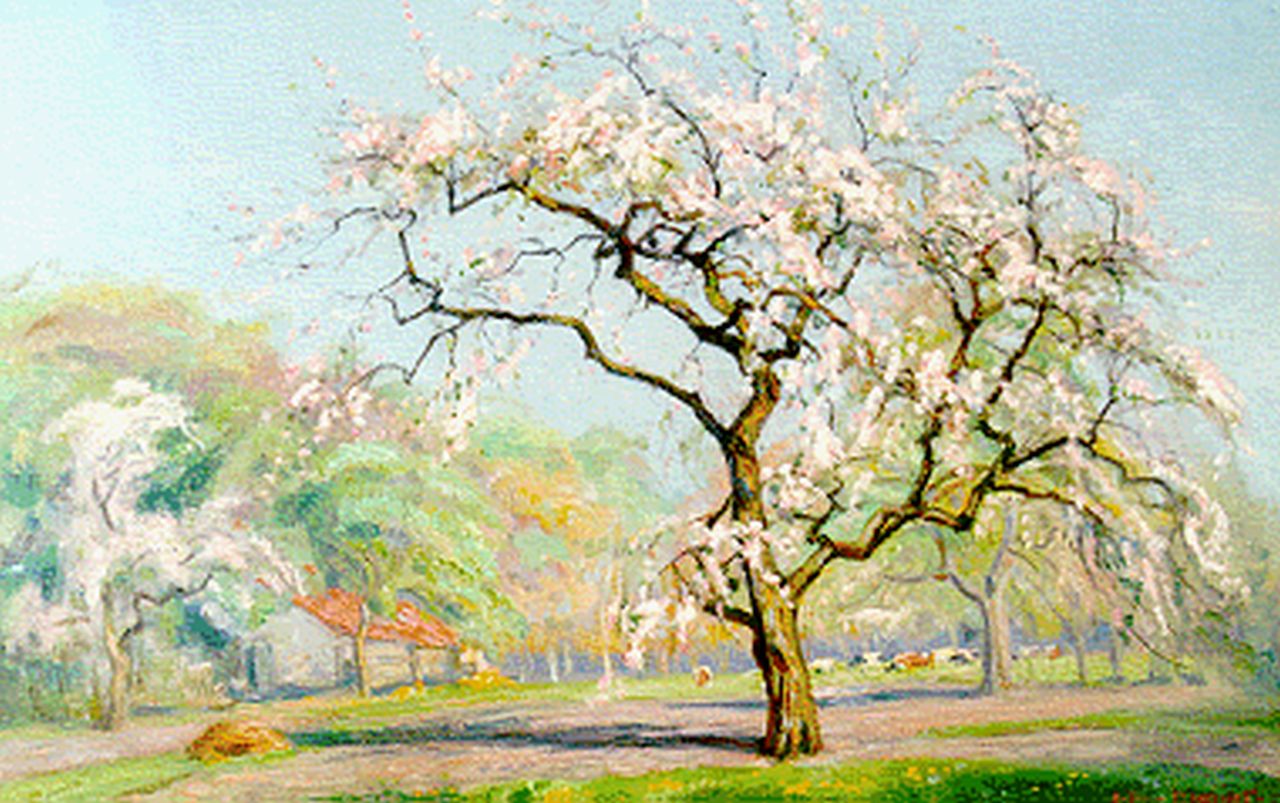 Meijer J.  | Johannes 'Johan' Meijer, An orchard in blossom, Öl auf Leinwand 40,4 x 59,7 cm, signed l.r.