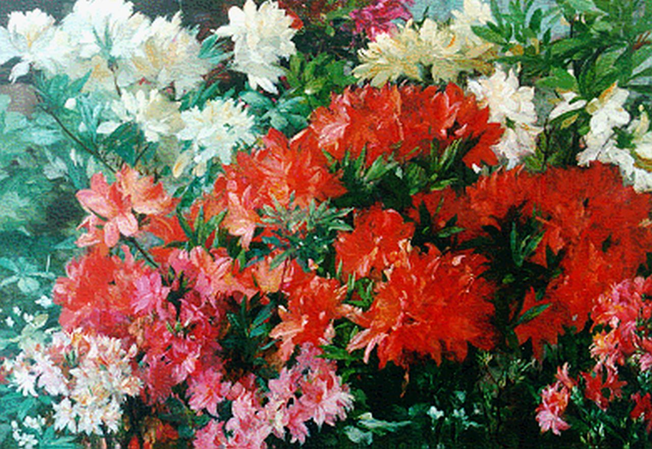 Visser jr. J.  | Jan Visser jr., Flowering rhododendrons, Öl auf Leinwand 61,6 x 87,8 cm, signed u.r.