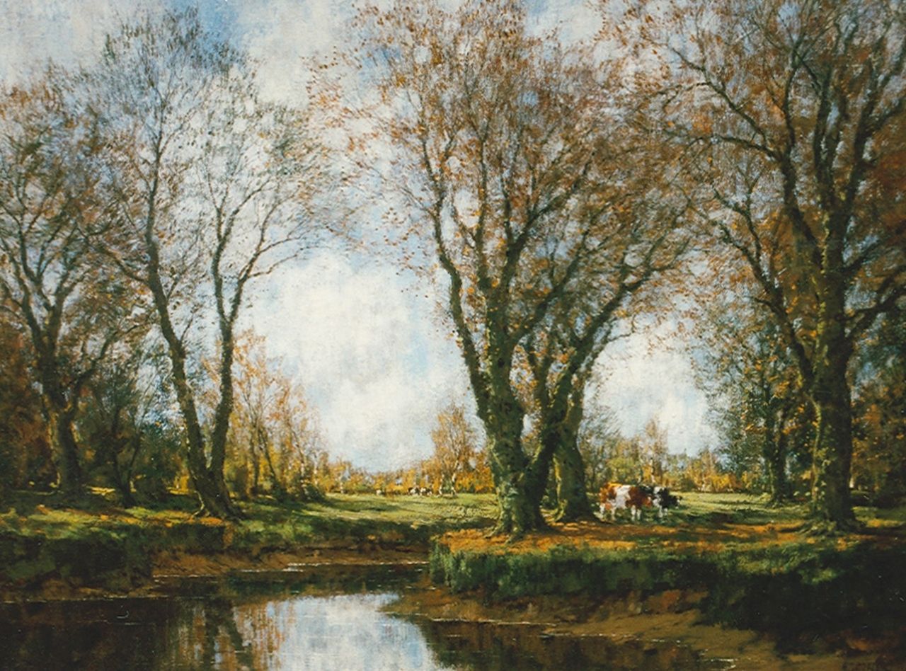 Gorter A.M.  | 'Arnold' Marc Gorter, Autumn along the Vordense beek: 'Sunlight and shadow', Öl auf Leinwand 75,5 x 100,0 cm, signed l.r.