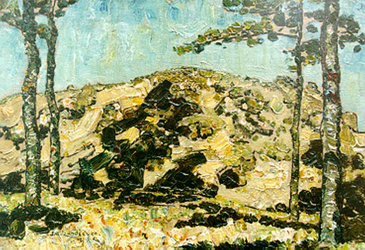 Zandleven J.A.  | Jan Adam Zandleven, Trees in a dune landscape, Öl auf Leinwand auf Holz 35,0 x 50,0 cm, signed l.l. und dated 1914