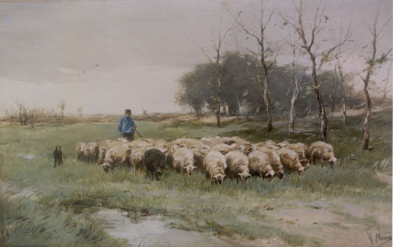 Mauve A.  | Anthonij 'Anton' Mauve, A shepherd with his flock, Aquarell auf Papier 31,5 x 50,0 cm, signed l.r.