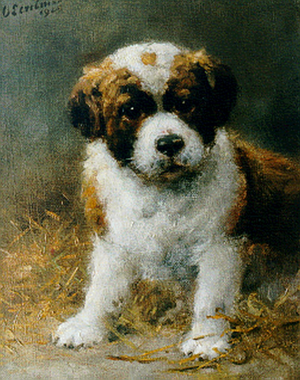 Eerelman O.  | Otto Eerelman, Saint-Bernard pup, Öl auf Leinwand 30,2 x 24,4 cm, signed u.l. und dated 1925