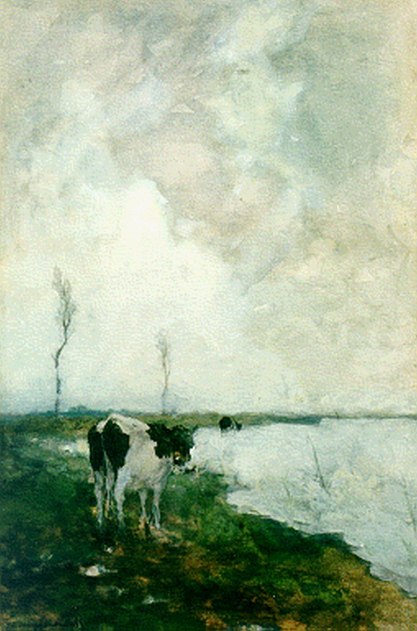 Weissenbruch H.J.  | Hendrik Johannes 'J.H.' Weissenbruch, A cow in a polder landscape, Aquarell auf Malerholzfaser 44,0 x 29,5 cm, signed l.l.