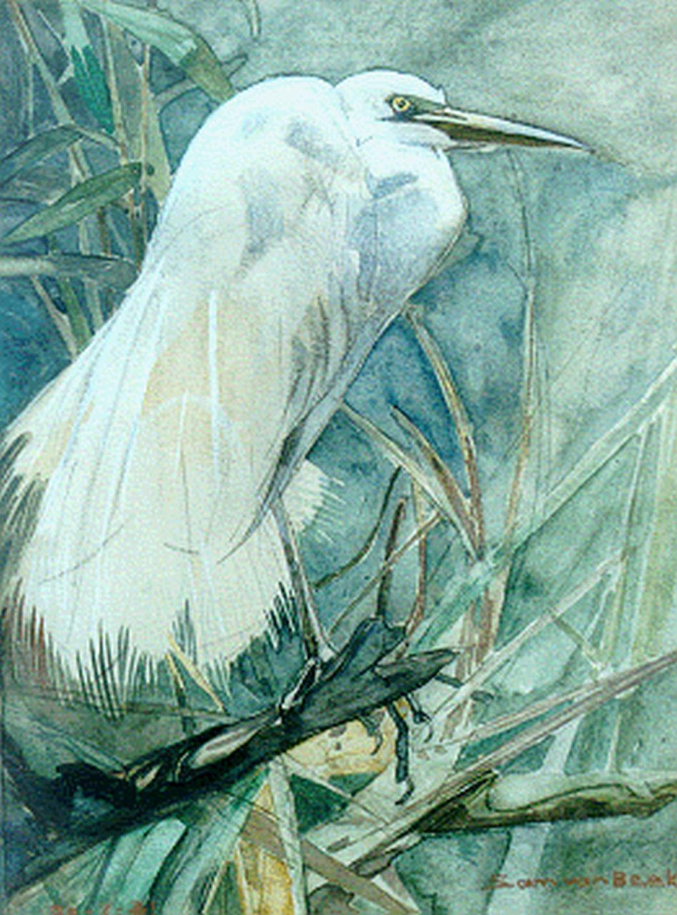 Beek S.J. van | Samuel Joseph 'Sam' van Beek, A white heron, Aquarell auf Holzfaserplatte 33,0 x 25,5 cm, signed l.r.