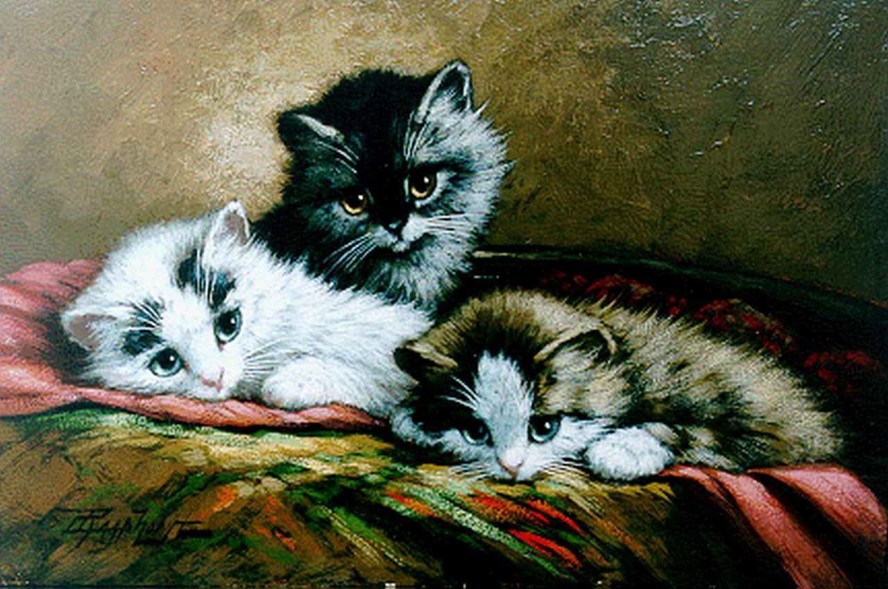 Raaphorst C.  | Cornelis Raaphorst, Three Kittens, Öl auf Leinwand auf Holz 18,9 x 27,9 cm, signed l.l.