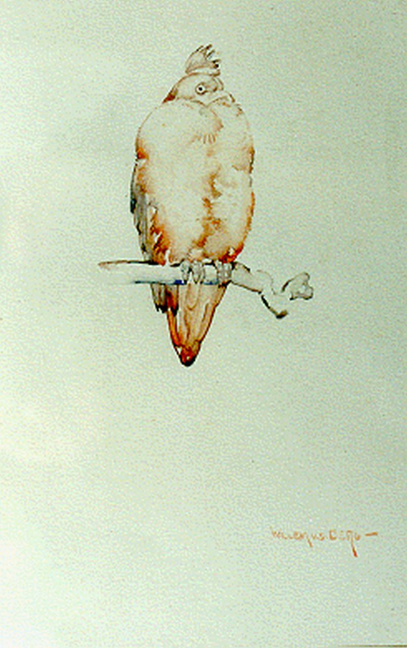 Berg W.H. van den | 'Willem' Hendrik van den Berg, A pigeon, Aquarell auf Papier 22,5 x 15,0 cm, signed l.r.