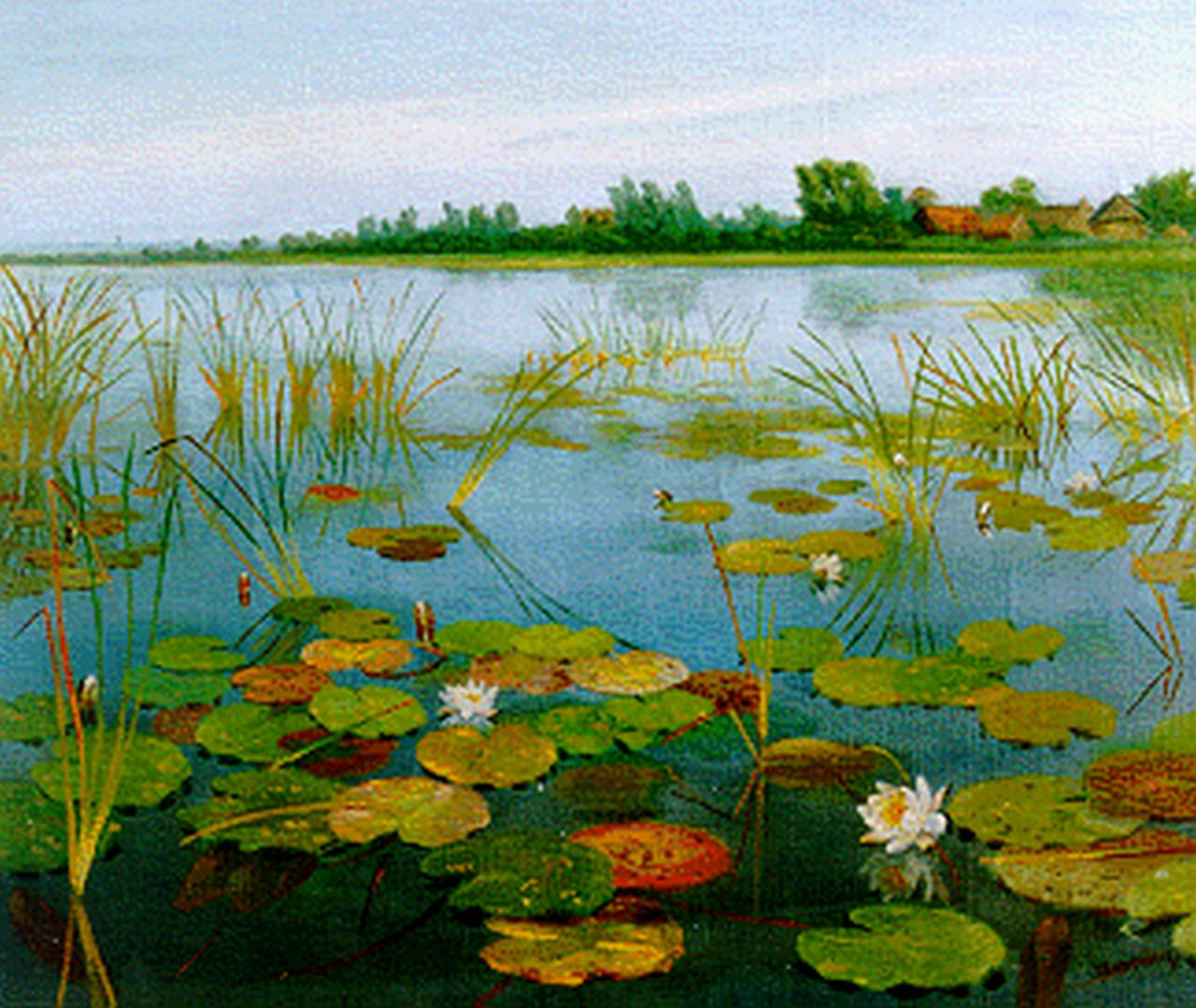 Smorenberg D.  | Dirk Smorenberg, Water lilies, Öl auf Leinwand 50,2 x 60,3 cm, signed l.r.