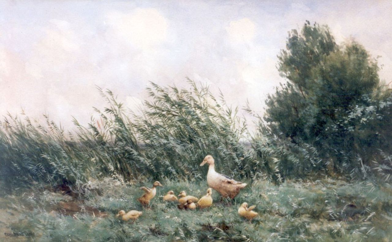 Artz C.D.L.  | 'Constant' David Ludovic Artz, A duck family on the riverbank, Aquarell auf Papier 33,5 x 53,5 cm, signed l.l.