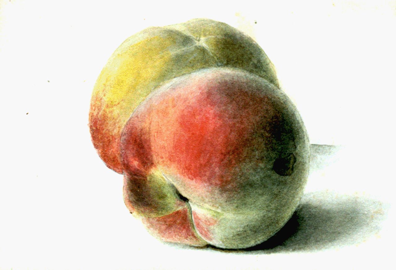 Sande Bakhuyzen G.J. van de | 'Gerardine' Jacoba van de Sande Bakhuyzen, A study of two peaches, Aquarell auf Papier 13,0 x 18,1 cm