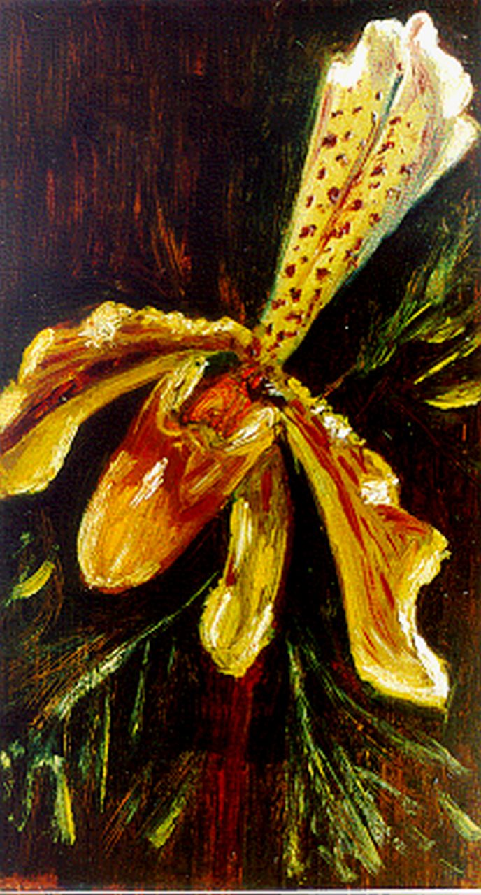 Maris M.  | Mies Maris, Orchids, Öl auf Papier Malereifaser 22,0 x 12,6 cm