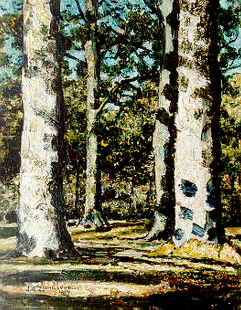 Zandleven J.A.  | Jan Adam Zandleven, A sunlit wooded landscape, Öl auf Leinwand Malereifaser 41,0 x 32,0 cm, signed l.l. und dated 1914